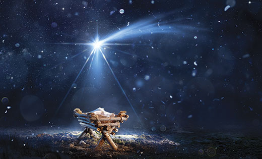 daily Advent Devotional